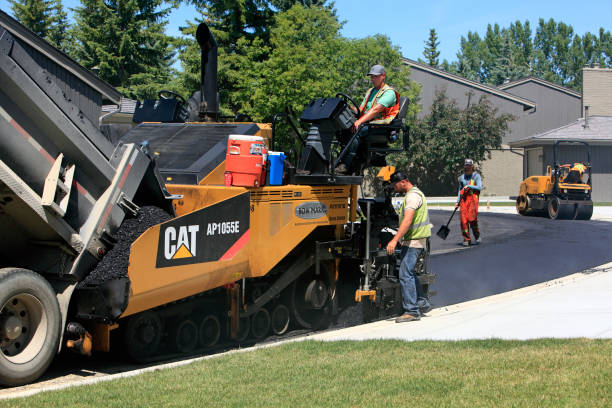 Best Driveway Pavers Near Me  in University Park, MD